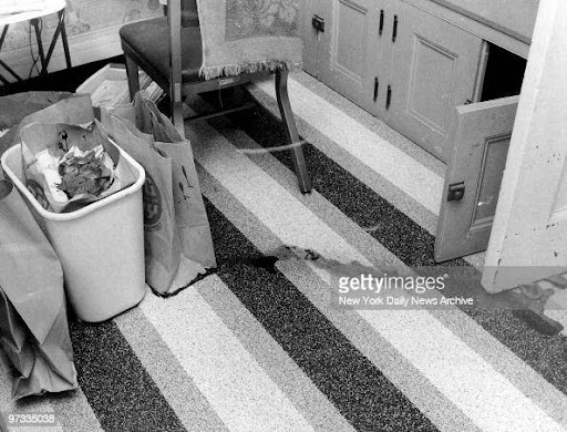 Bloodstains on the linoleum kitchen floor. John List cleaned up most of the mess with paper towels following the murders.